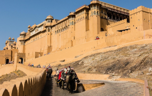 people sitting on elephant near a fort in rajasthan